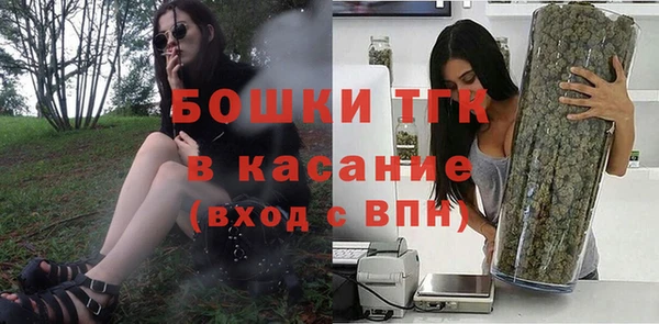 сатива Балахна