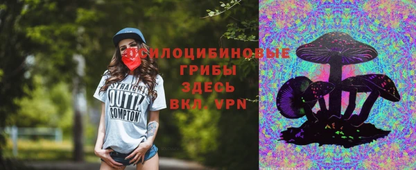 сатива Балахна