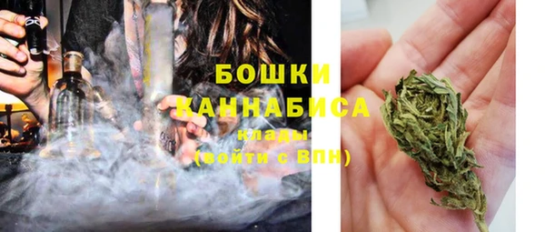 шишки Семилуки